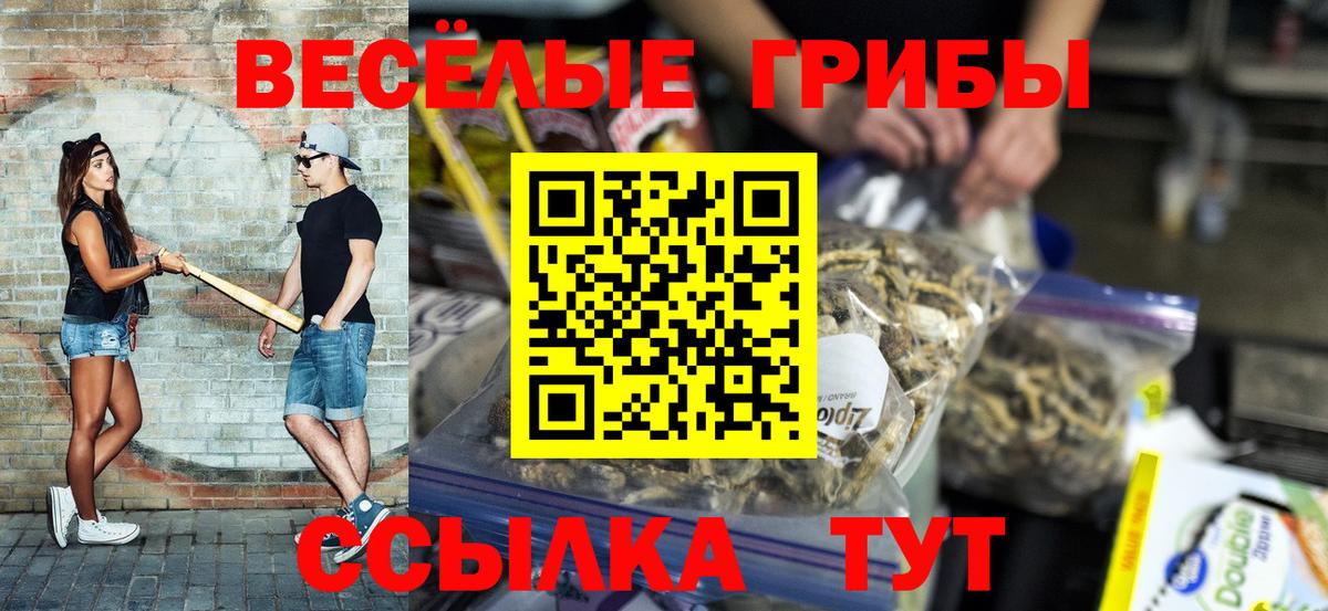 Галлюциногенные грибы GOLDEN TEACHER Ноябрьск