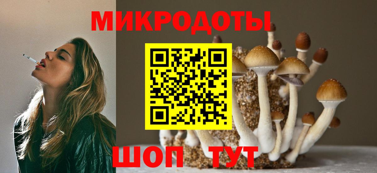 Ноябрьск  Галлюциногенные грибы Psilocybine cubensis  Вход с VPN 